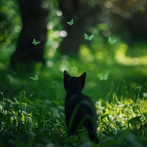 日本老熟女人啪啪图片
