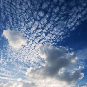 日本老熟女人啪啪图片
