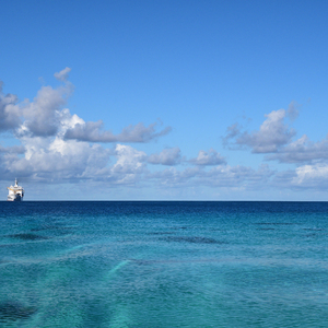 日本老熟女人啪啪图片
